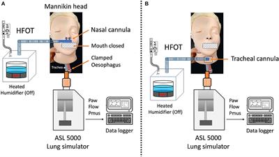 Delivery of high flow oxygen through nasal vs. tracheal cannulas: A bench study